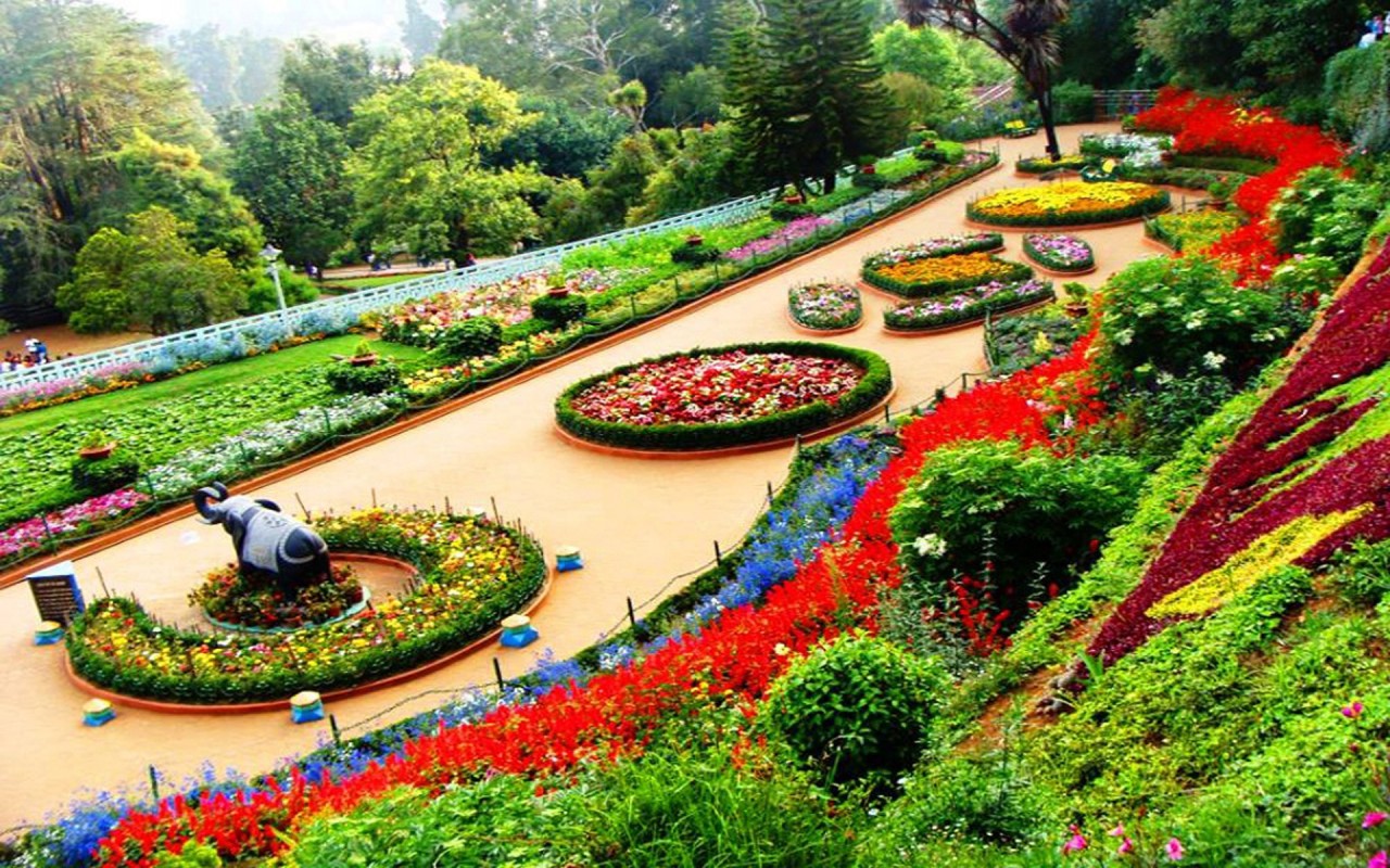Coimbatore to  Ooty Drop Taxi